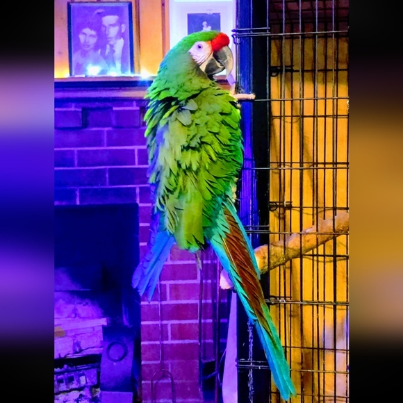 Adulting Like A Boss Freaky Friday W/Krystal & Cassandra - Picture 11 of 15